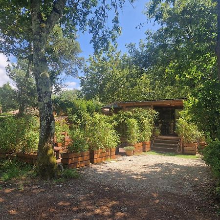 Chalet 2020 Camping 4 Etoiles Bassin D'Arcachon La Teste Exterior photo